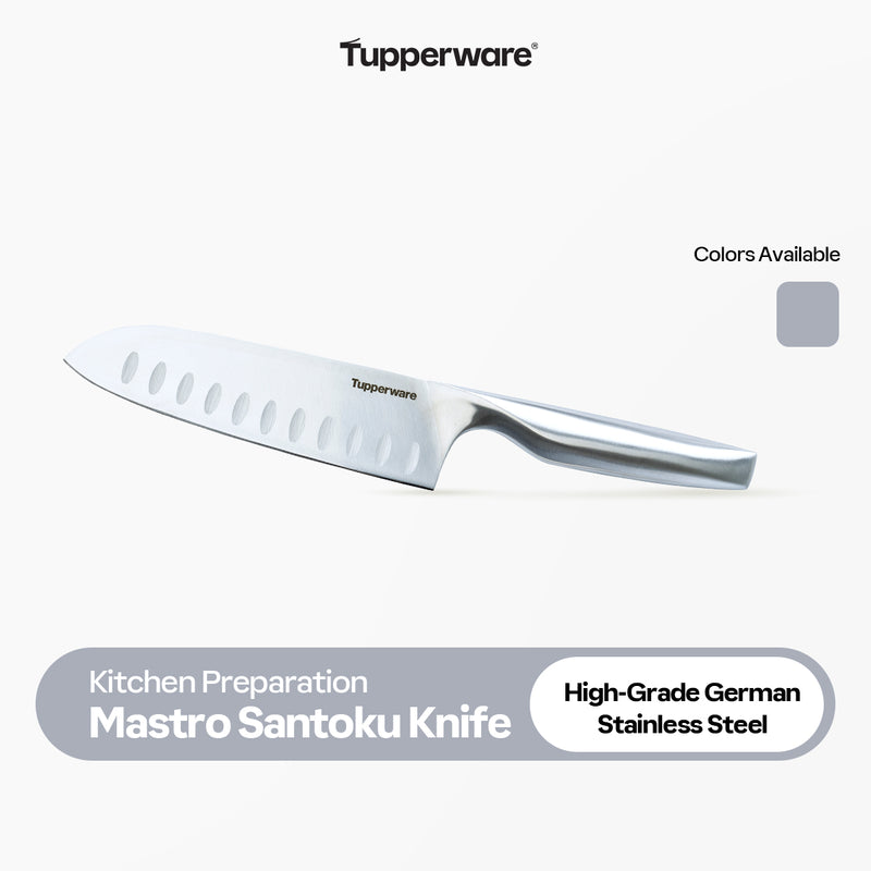 Tupperware Mastro Santoku Knife