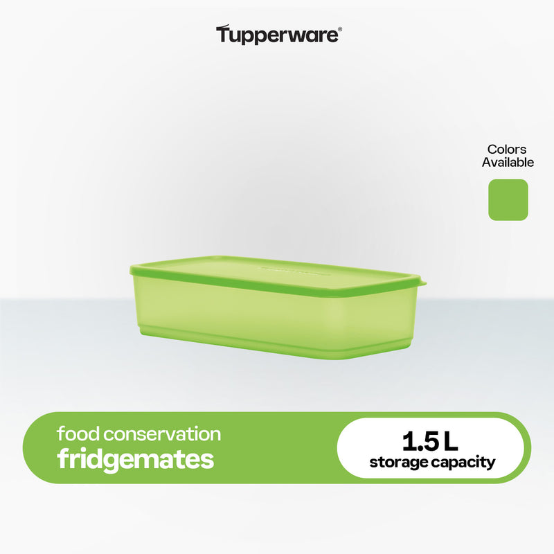 Tupperware Fridgemates Pak N Stor