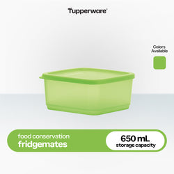 Tupperware Fridgemates Small Square Rounds