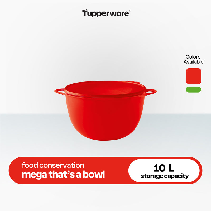 Tupperware Mega That’s a Bowl