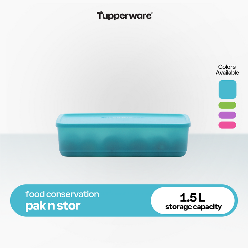 Tupperware Pak N Stor