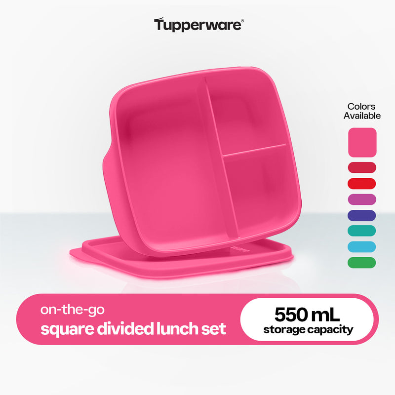 Tupperware Square Divided Lunch Set