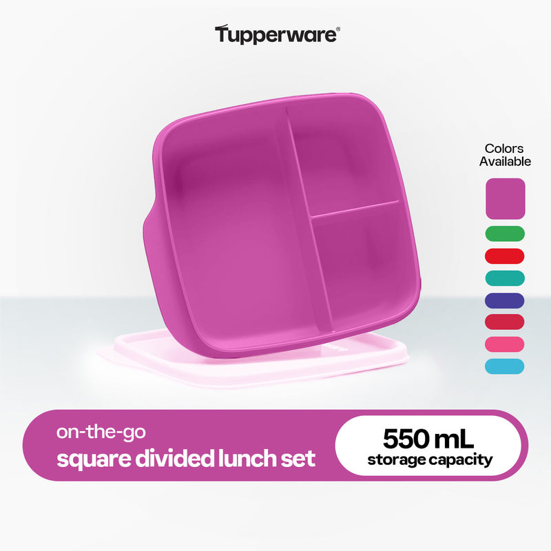 Tupperware Square Divided Lunch Set