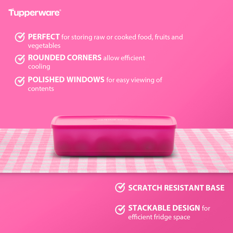 Tupperware Pak N Stor