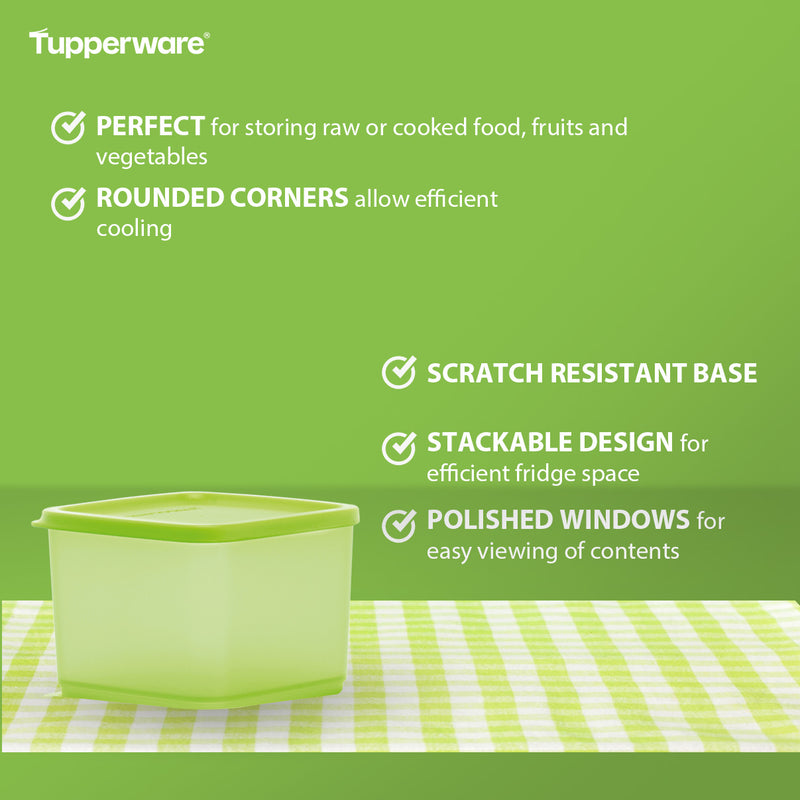 Tupperware Fridgemates Medium Square Rounds