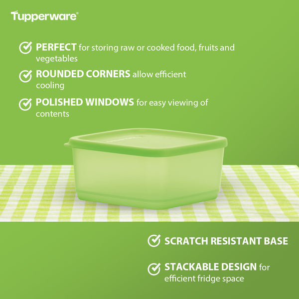 Tupperware Fridgemates Small Square Rounds