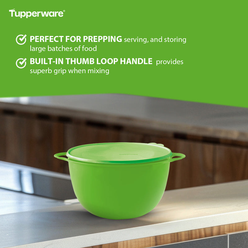 Tupperware Mega That’s a Bowl