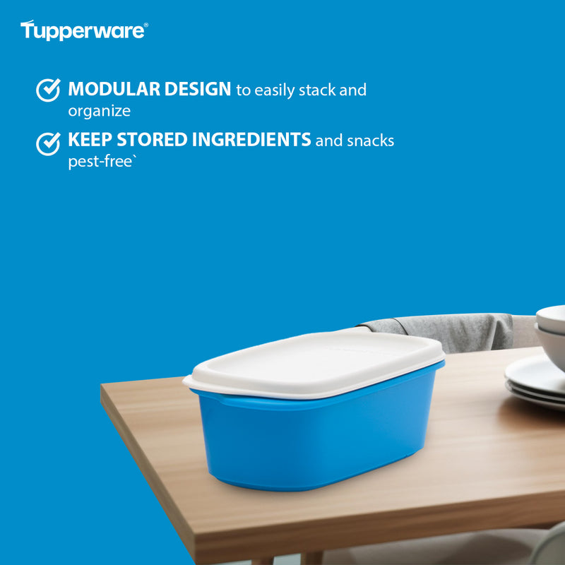 Tupperware Smart Saver Oval #1