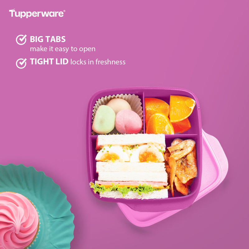 Tupperware Square Divided Lunch Set