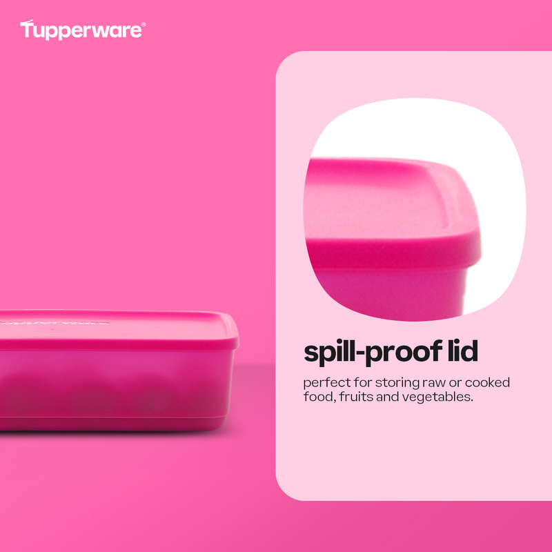 Tupperware Pak N Stor