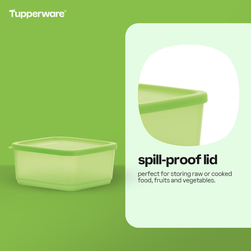 Tupperware Fridgemates Small Square Rounds