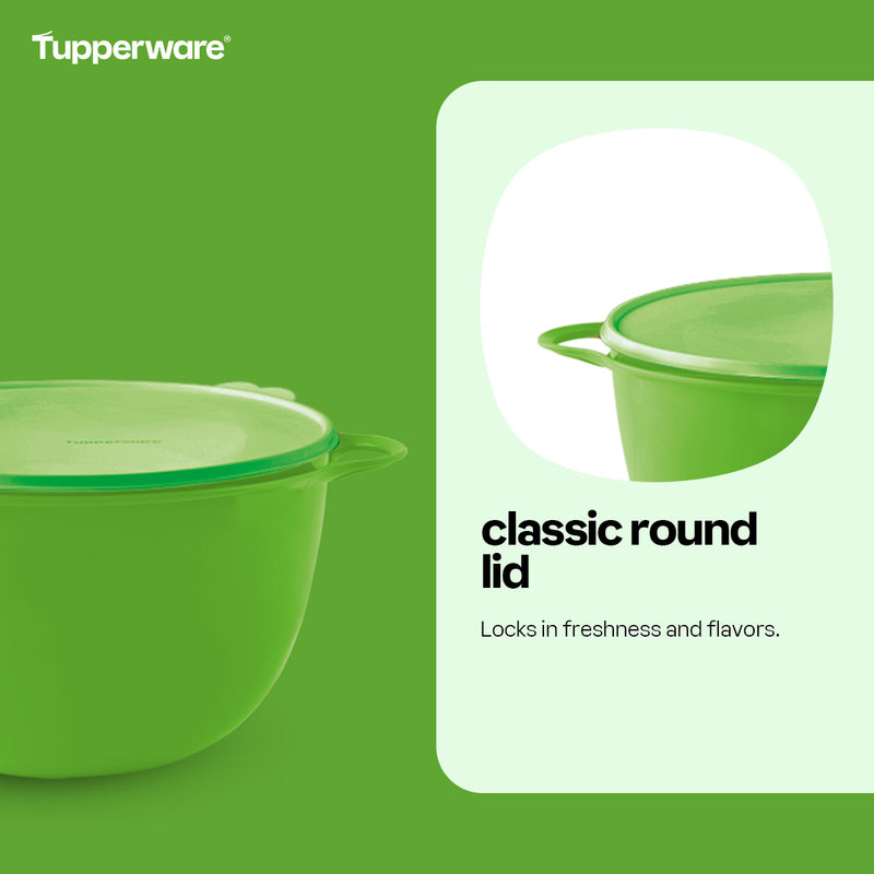 Tupperware Mega That’s a Bowl