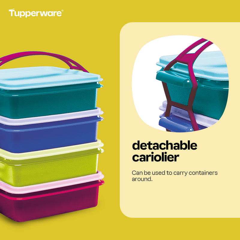 Tupperware Small Goody Box