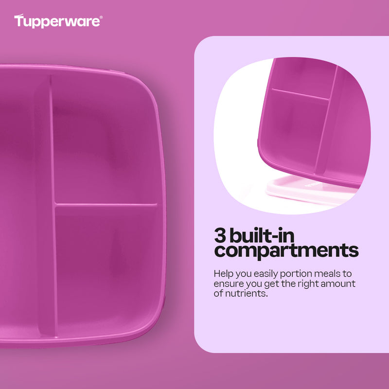 Tupperware Square Divided Lunch Set