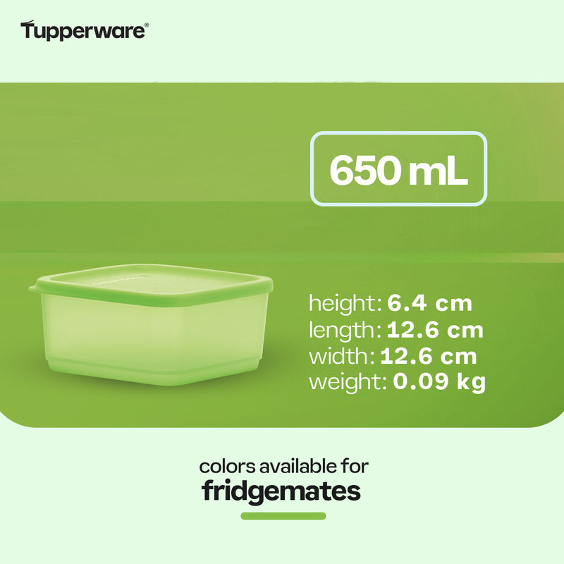 Tupperware Fridgemates Small Square Rounds