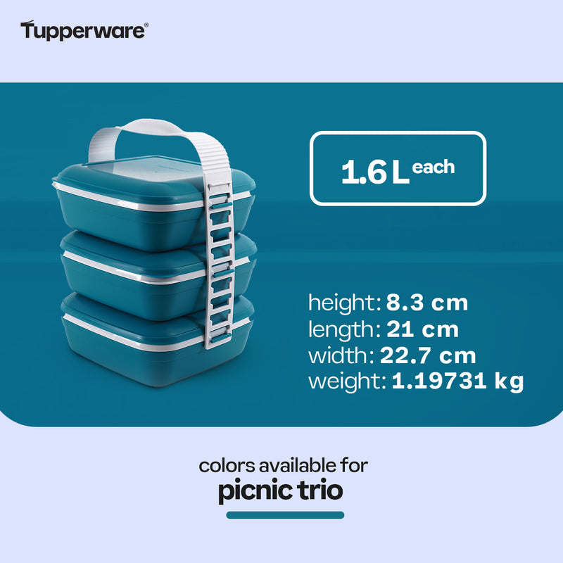 Tupperware Picnic Trio