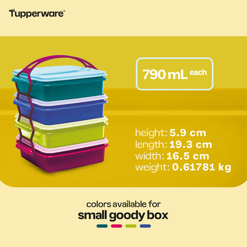 Tupperware Small Goody Box