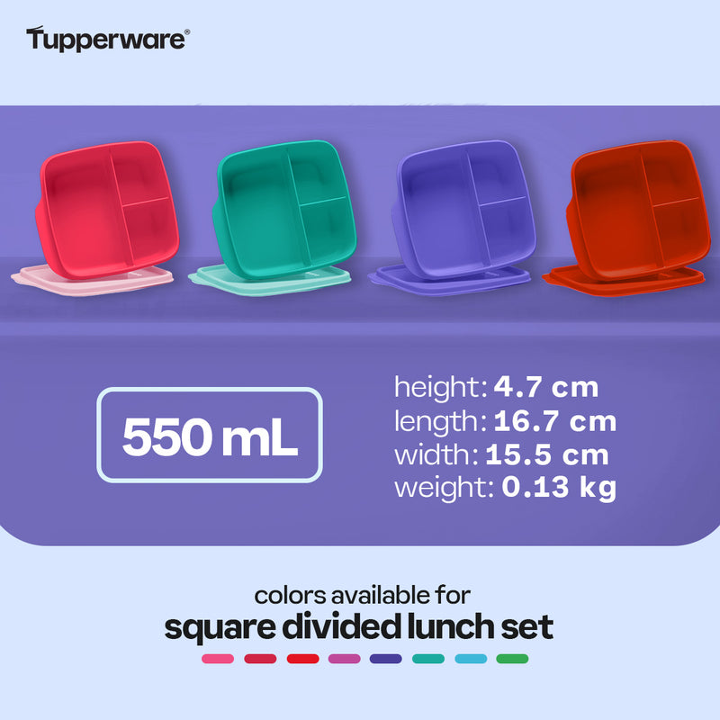 Tupperware Square Divided Lunch Set