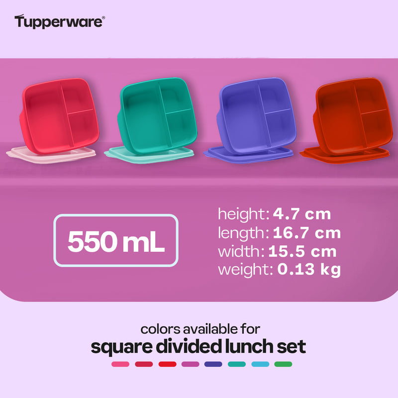 Tupperware Square Divided Lunch Set