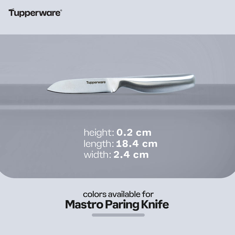 Tupperware Mastro Paring Knife