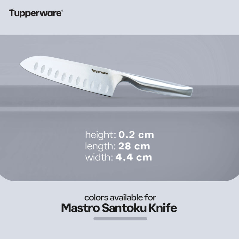 Tupperware Mastro Santoku Knife