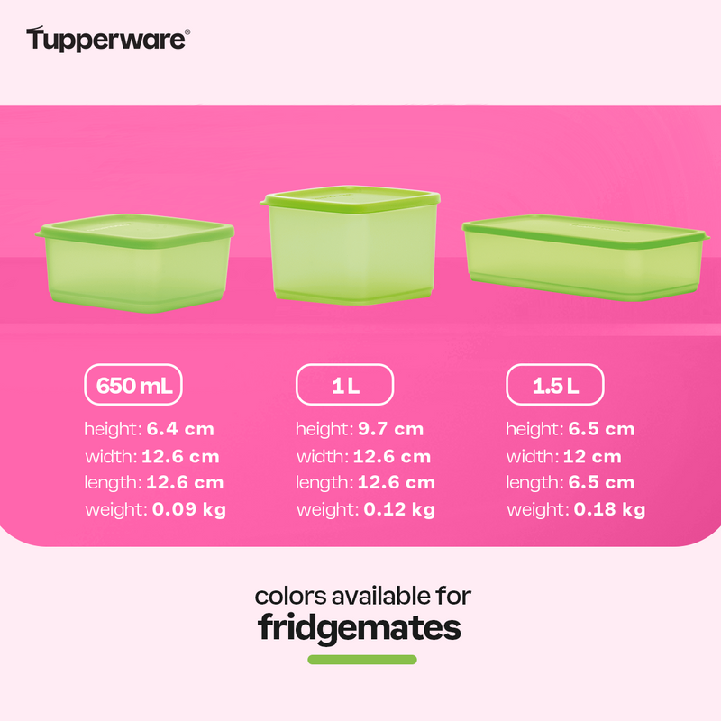 Tupperware Pak N Stor