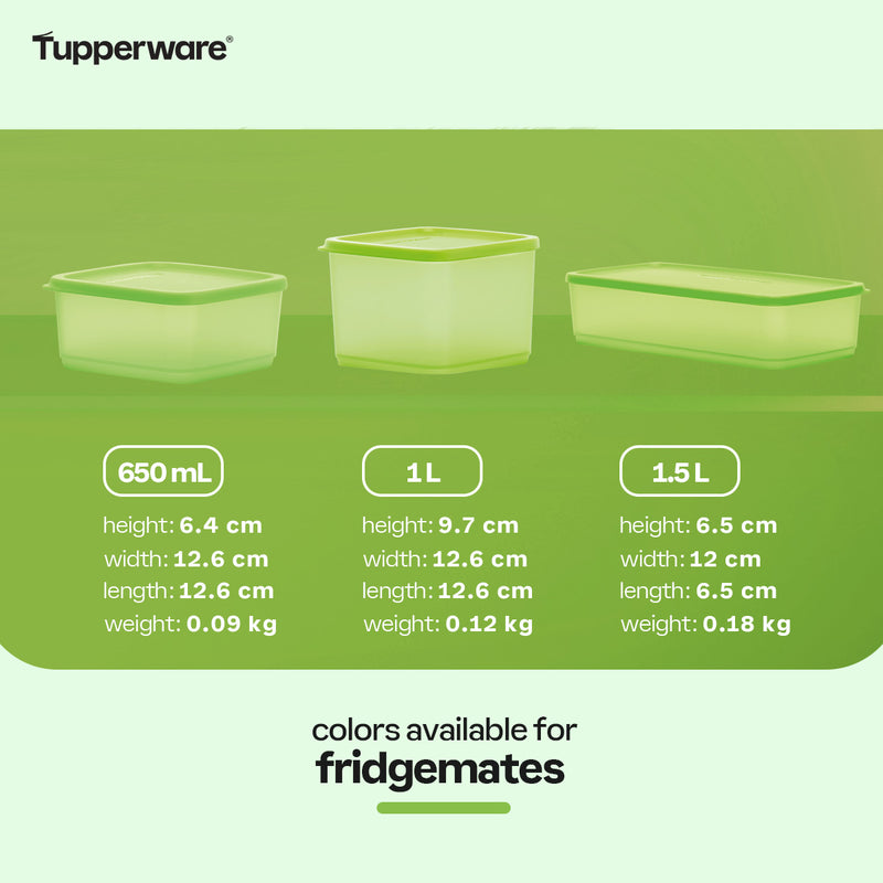 Tupperware Fridgemates Small Square Rounds