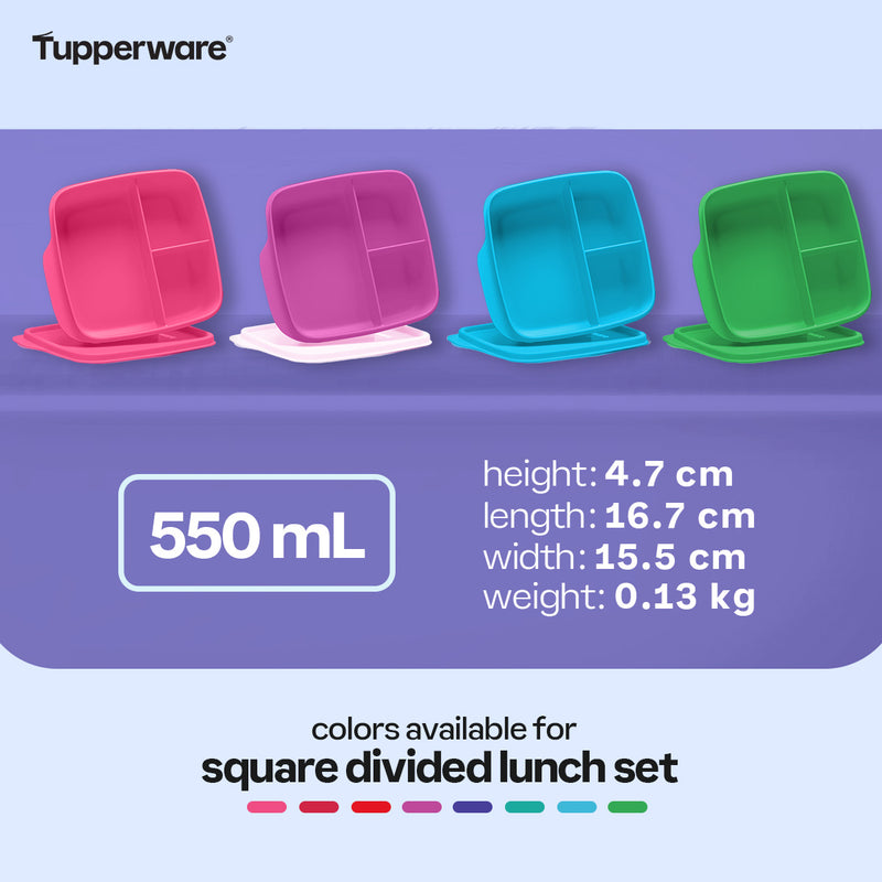 Tupperware Square Divided Lunch Set