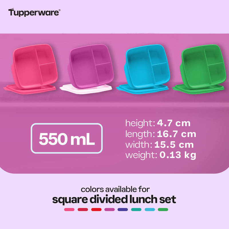 Tupperware Square Divided Lunch Set