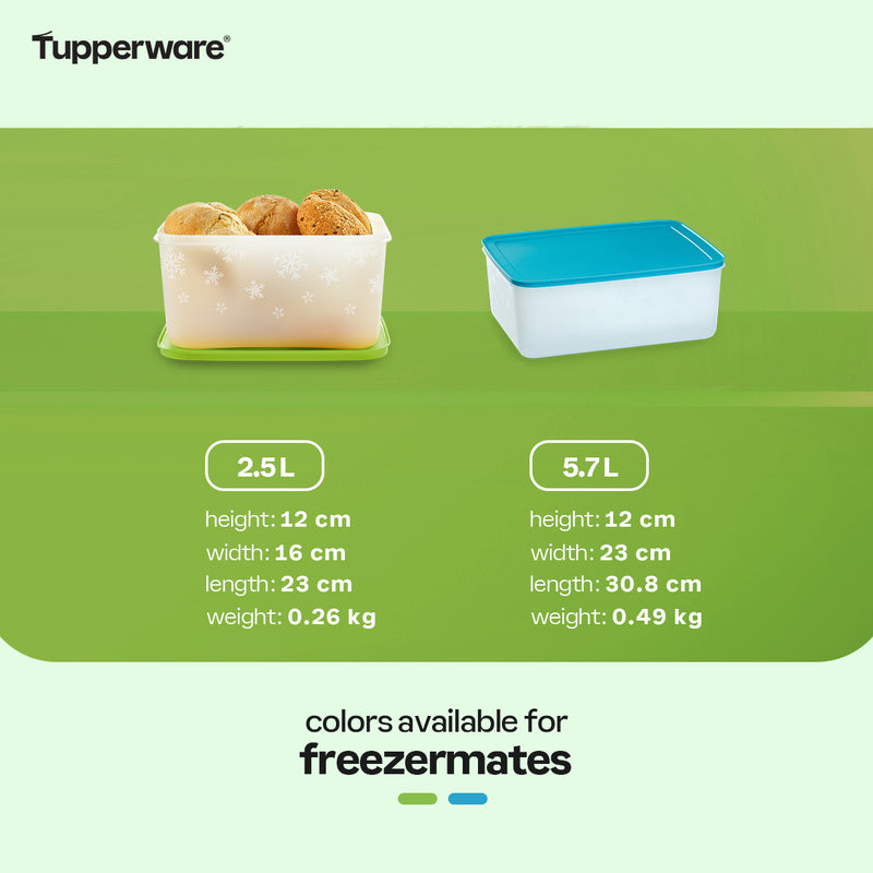 Tupperware Freezermates Plus Small Low 450 mL