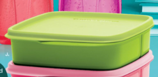 Tupperware Square Divided Lunch Set