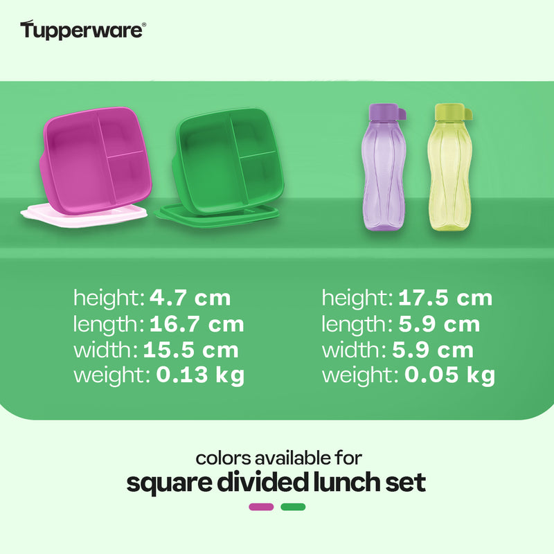 Tupperware Square Divided Lunch Set + Eco Bottle 310 mL (with gift box)