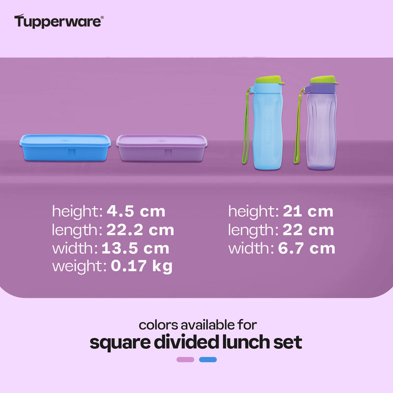 Tupperware Lunch Lite + Eco Bottle 500 mL (with gift box)